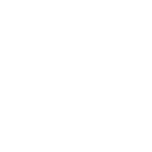 Michigan Economic Development Corporation Logo